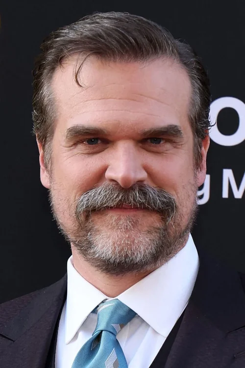 Profile image of David Harbour